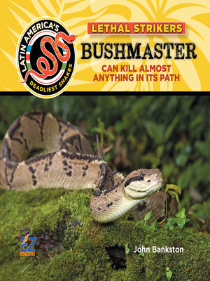 cover image of Bushmaster Snake: Can Kill Almost Anything In Its Path